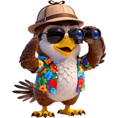 פיפ מחפש עסקאות